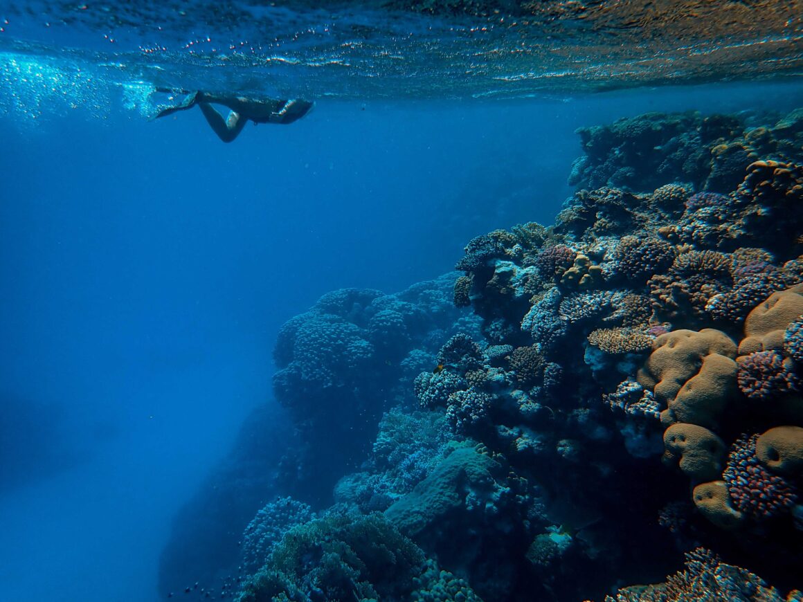SCUBA DIVING