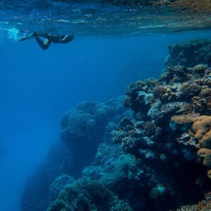 SCUBA DIVING