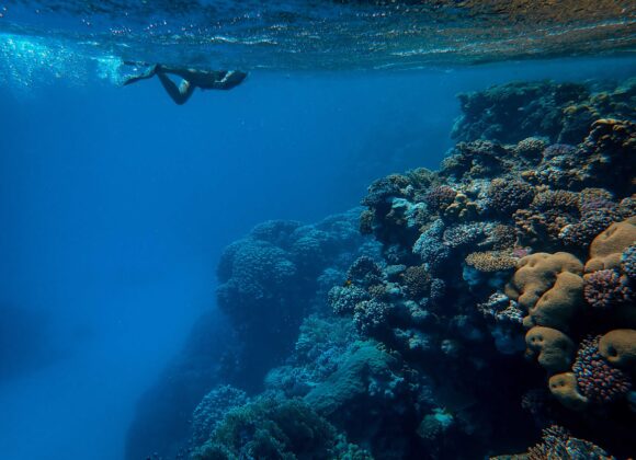 SCUBA DIVING